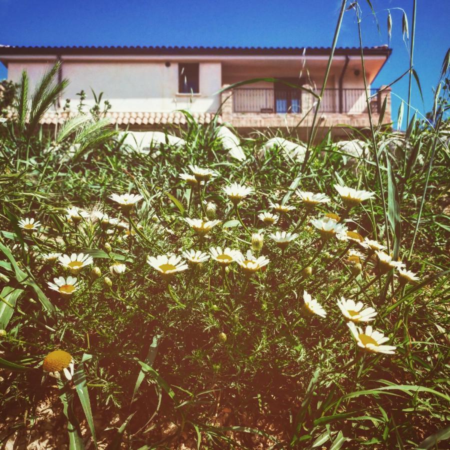 Bed and Breakfast Casale del Sole Cepagatti Exterior foto